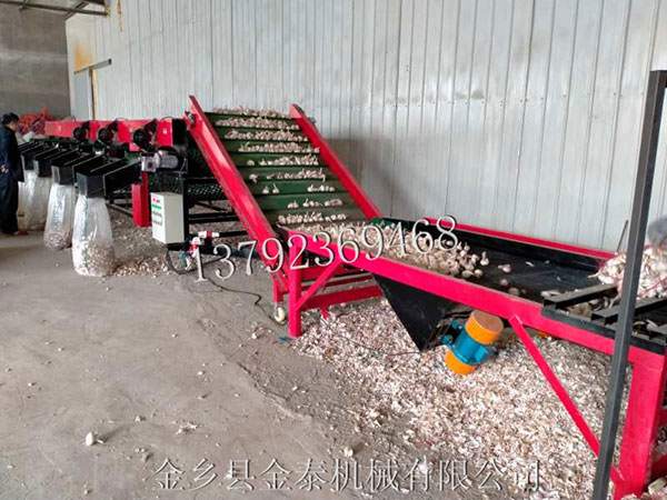 大蒜分瓣机在结构上的问题