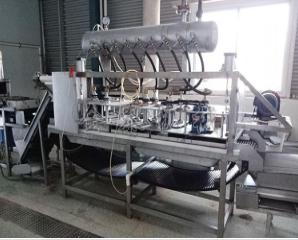 全自动大蒜脱皮机