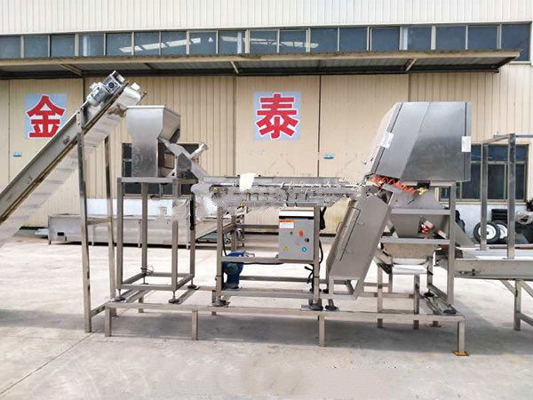 山东大蒜脱皮机